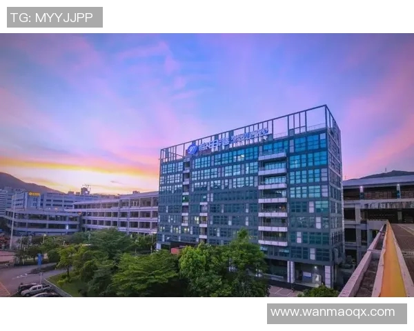 深圳攀岩队中路突破的成就与挑战分析及未来展望